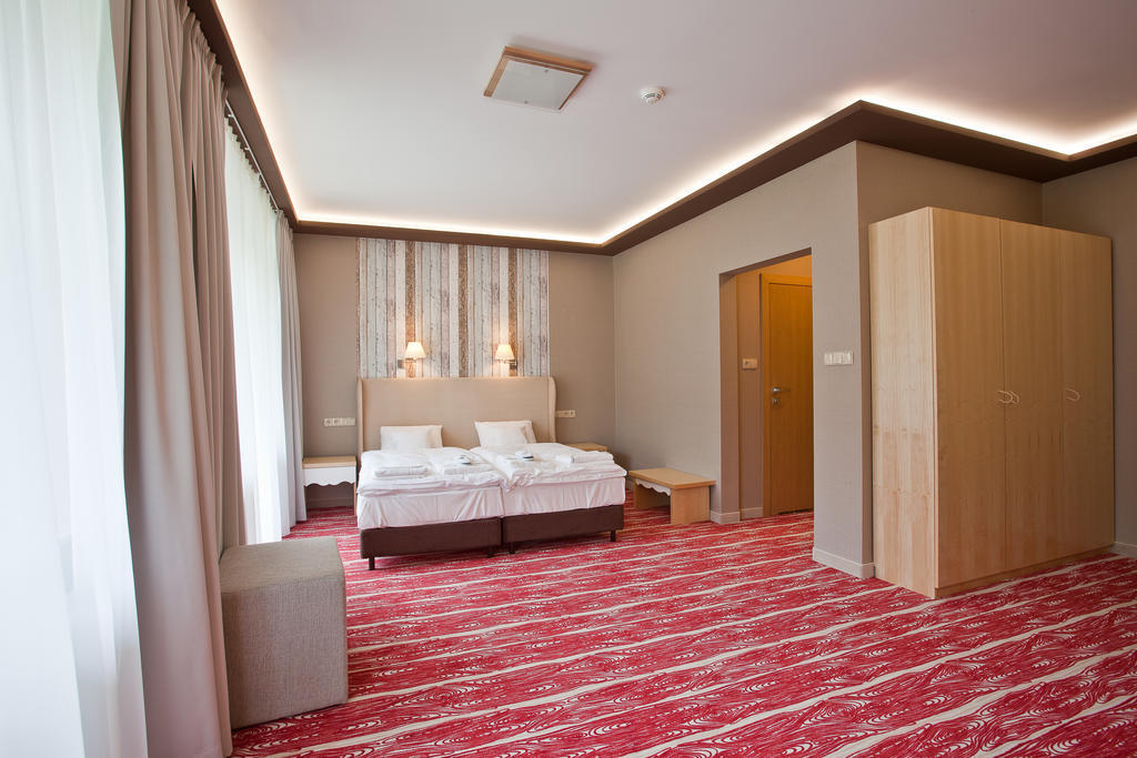 Hotel Piwniczna Spa&Conference Room photo